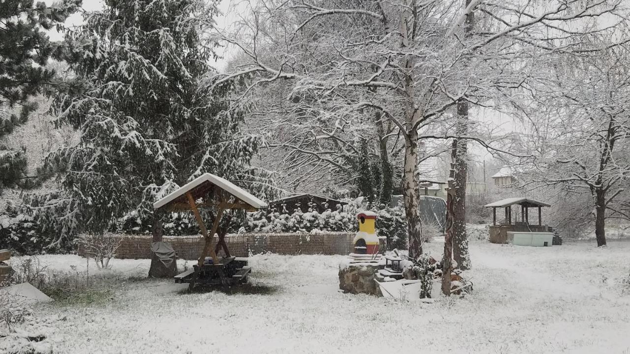 Ferienwohnung Sagenwelt Thale Exteriör bild